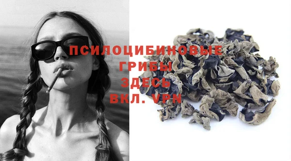 дживик Касимов