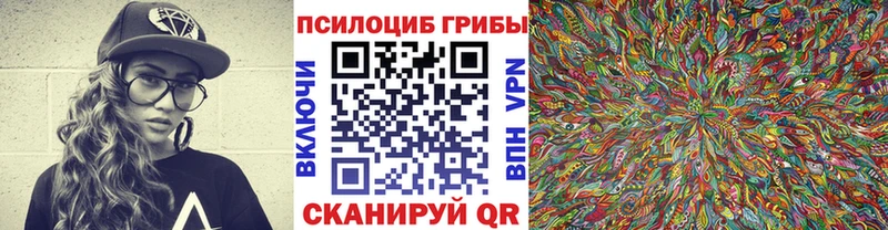 сколько стоит  Болотное  ОМГ ОМГ зеркало  Псилоцибиновые грибы Psilocybine cubensis 